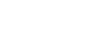 logo dina w